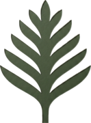 cedar partners
